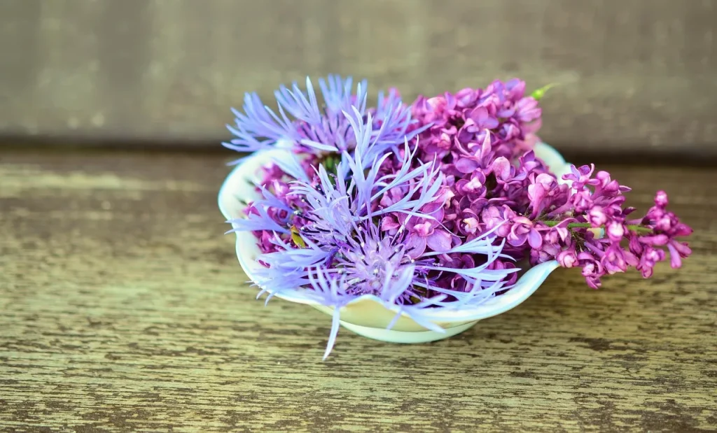 Tendances déco : les couleurs de l’année selon Pantone