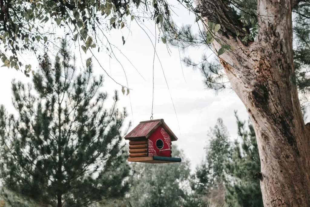 Idées de décoration écoresponsable pour votre maison